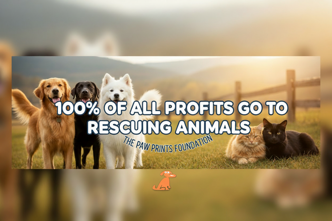 How Your DoggoShop Purchase Helps Rescue Dogs Around the World