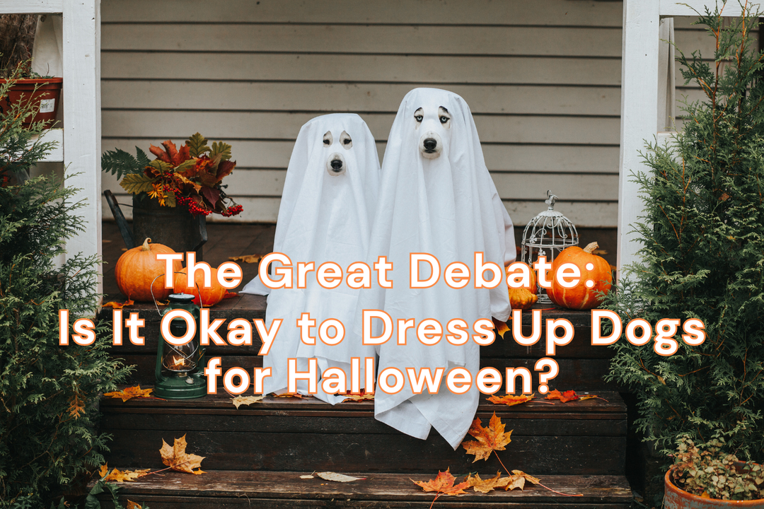 The Great Debate: Is It Okay to Dress Up Dogs for Halloween or Christmas?