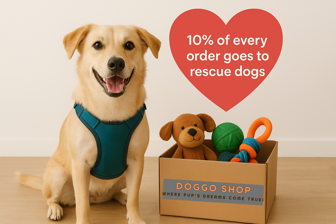 How Your DoggoShop Purchase Helps Rescue Dogs Around the World