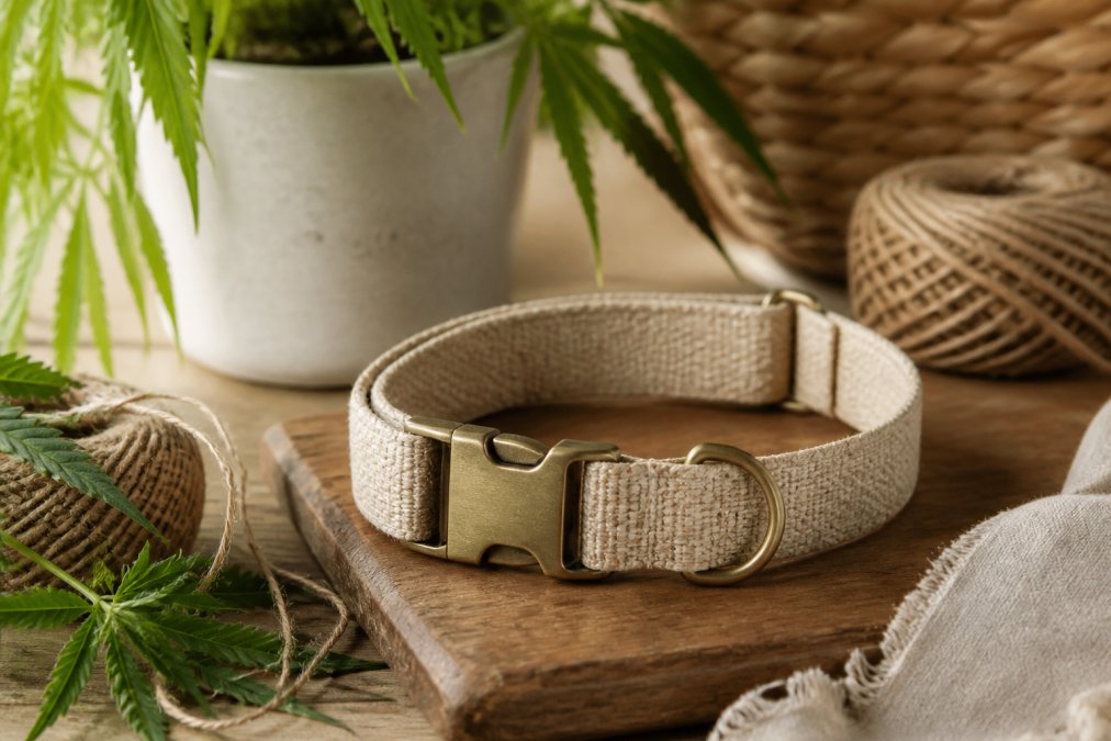 Benefits of Hemp Dog Collars: A 2026 UK Guide