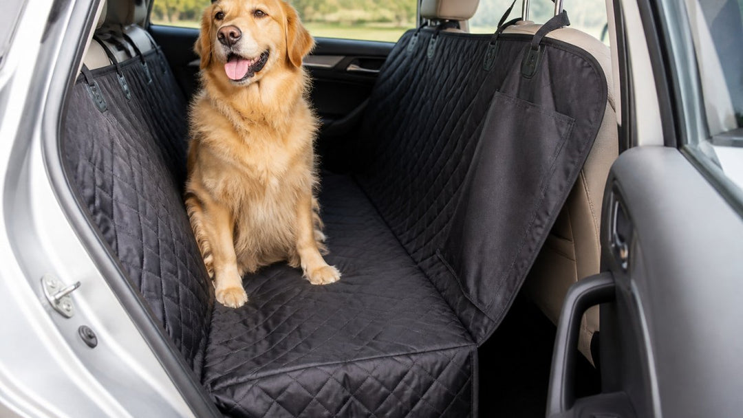 Best Dog Car Seat Cover for Travel: 2026 Buying Guide