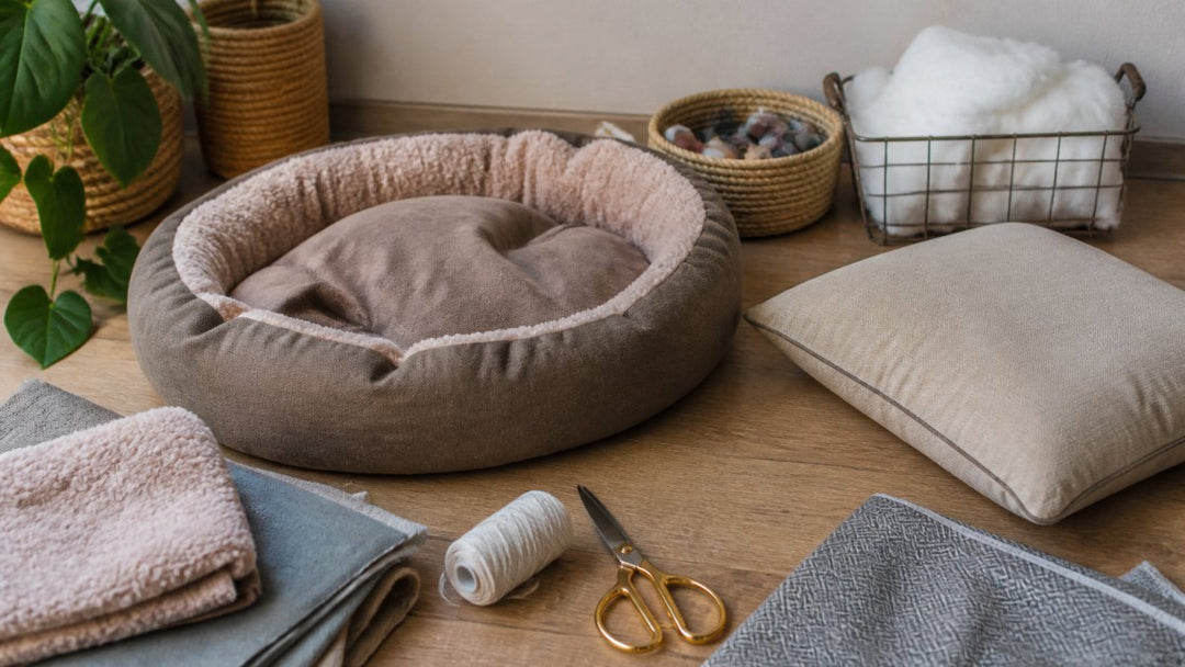 Creative Ways to Upcycle Old Pet Cushions