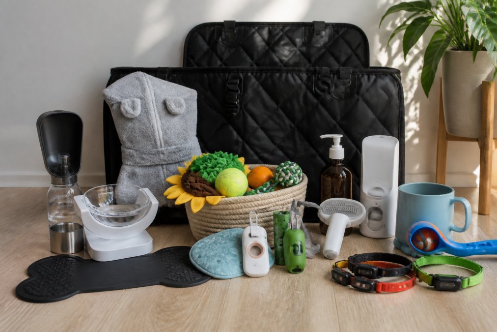 Ethical Dog Toy Brands: 2026 Guide to Safe, Sustainable Choices