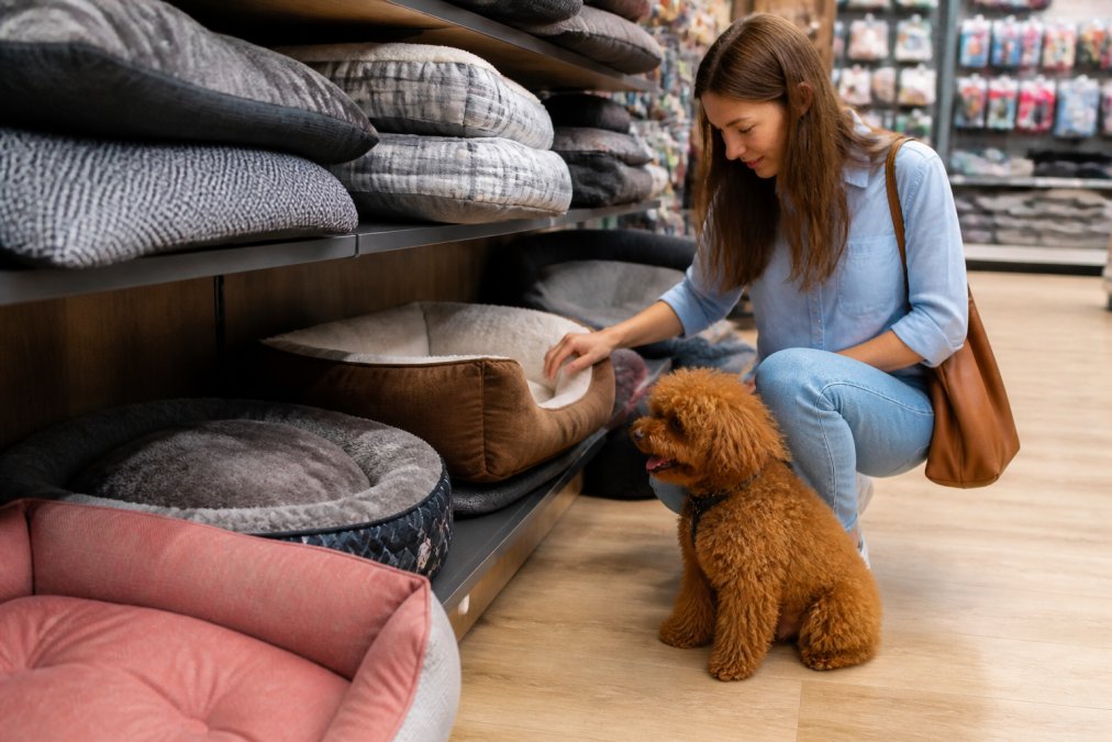 How to Choose a Dog Bed: A 2026 Guide