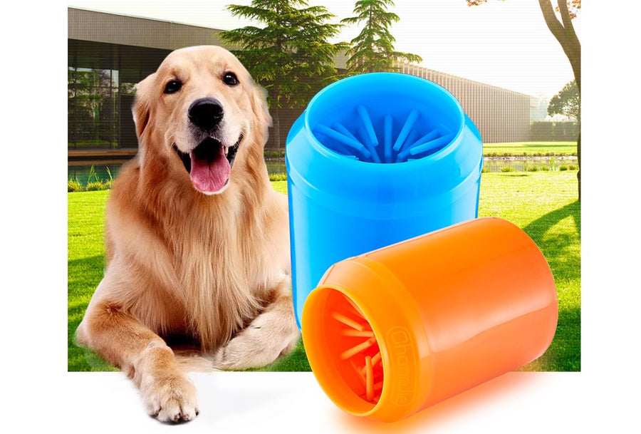 A dog sitting next to a blue and orange automatic foot washing cup designed for pets.