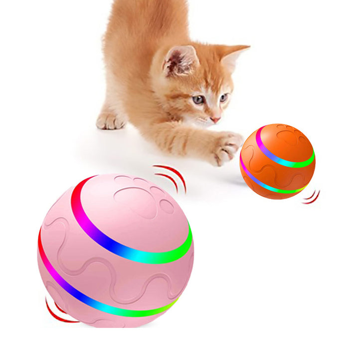 Cat playing with a colorful ball toy on a white background