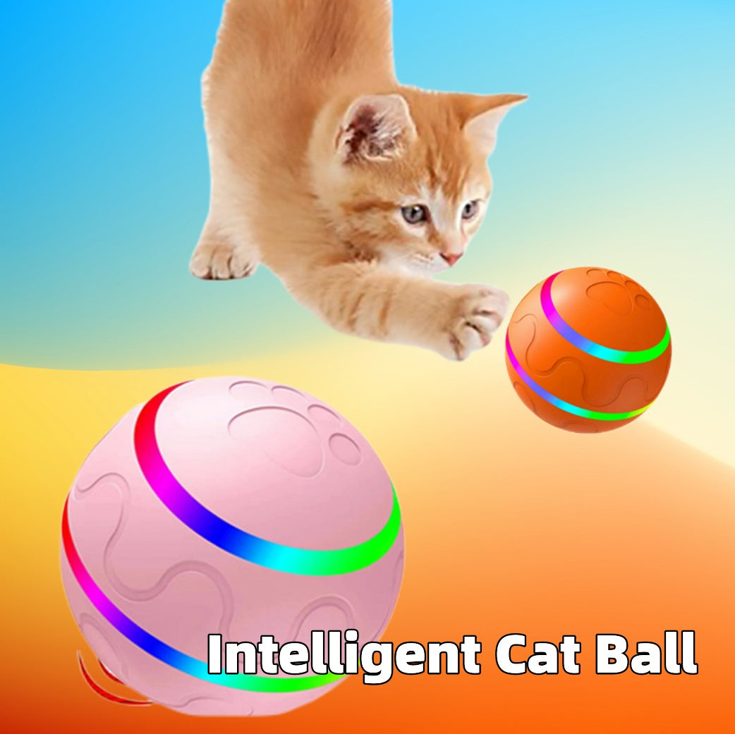 Two colorful 'Intelligent Cat Ball' toys with a cat interacting with one of them on a gradient background.