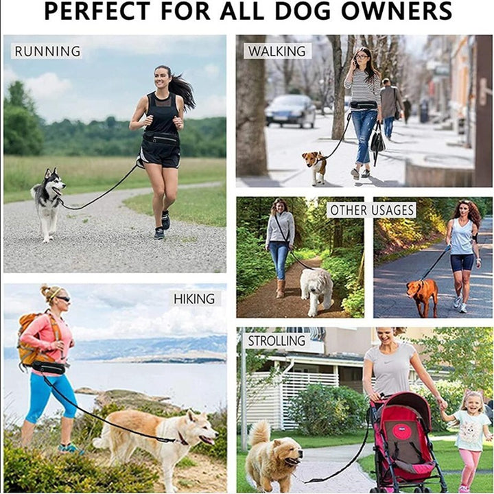 Collage of people using a dog leash for running, walking, hiking, and strolling with dogs.
