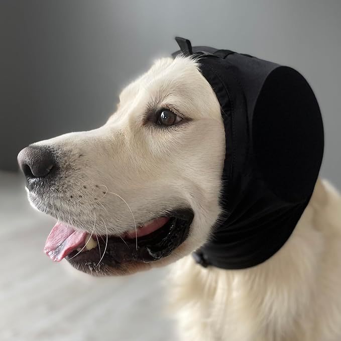 Dog wearing a black hood on a gray background