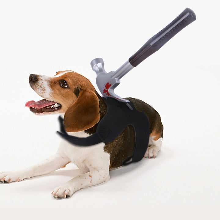 Dog wearing a black cape with a bloody hammer on a white background