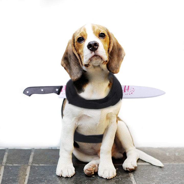 Dog wearing a black collar with a knife attached on a white background