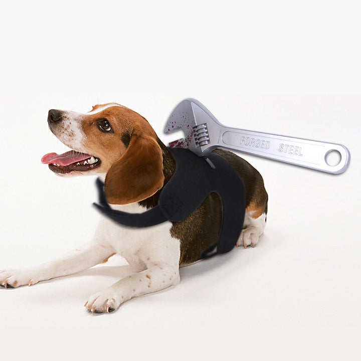 Dog wearing a harness with a wrench on a white background