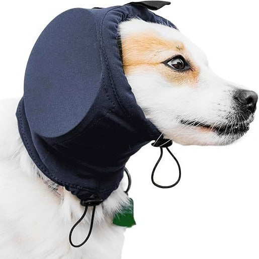 Dog wearing a navy blue Calming Ear Wrap for Dogs with a white background