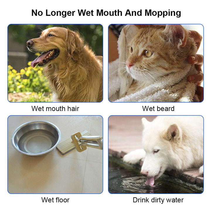 Collage of a dog, cat, wet floor, and dirty water with text 'No Longer Wet Mouth And Mopping'.
