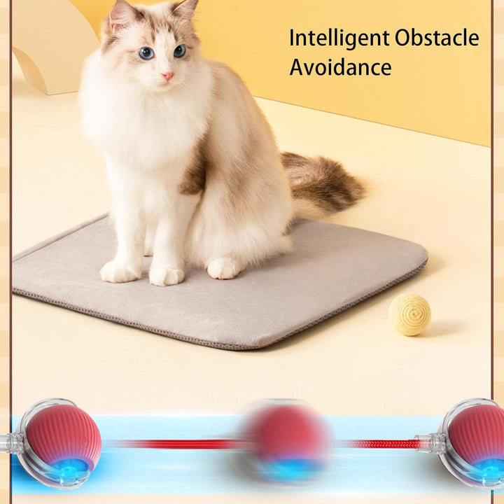 Cat sitting on a heating pad with text 'Intelligent Obstacle Avoidance' on a yellow background