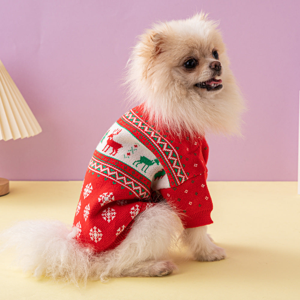 Small dog wearing a red sweater with white patterns on a light purple background