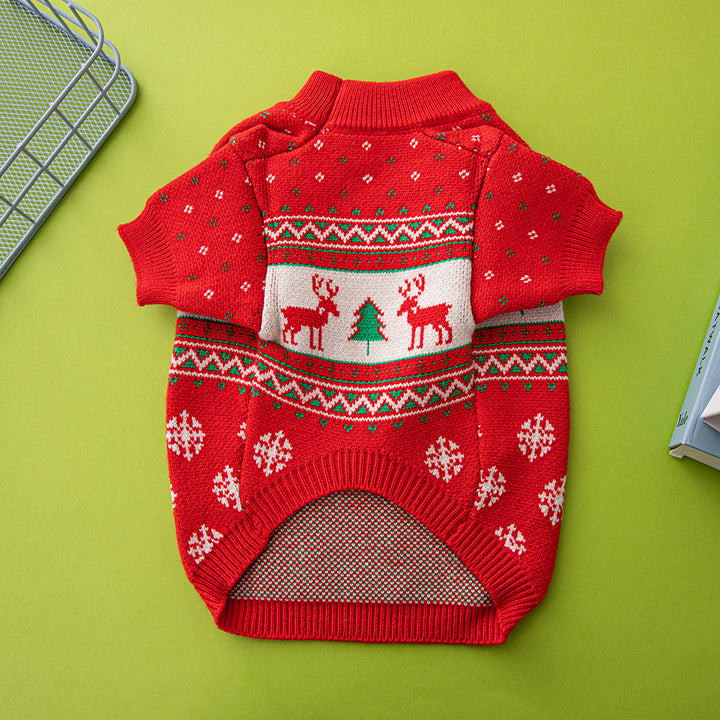 Red dog sweater with Christmas patterns on a green background