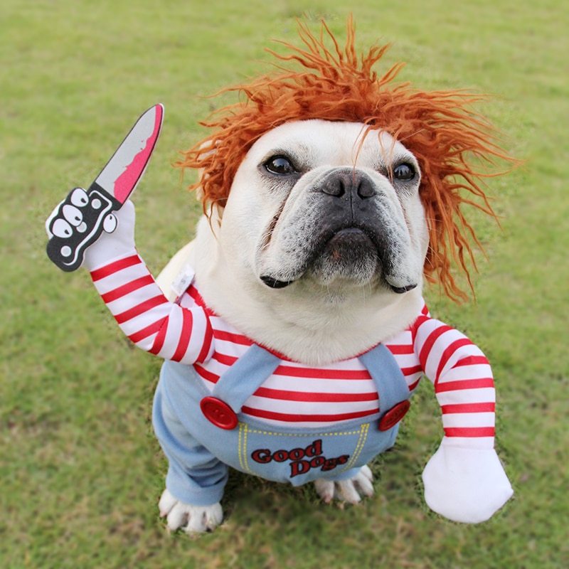 Dog wearing a costume with red hair, striped shirt, and overalls holding a toy knife on grass.