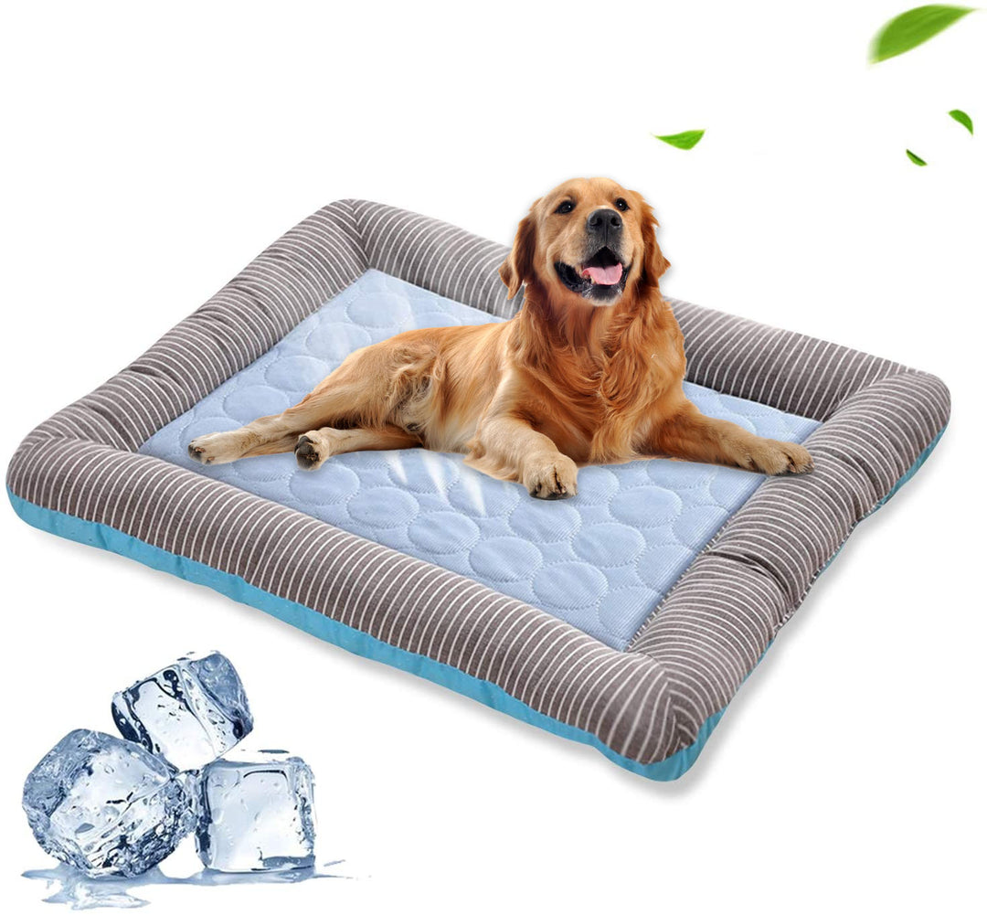 Dog lying on a cool gel pad with ice cubes and leaves in the background