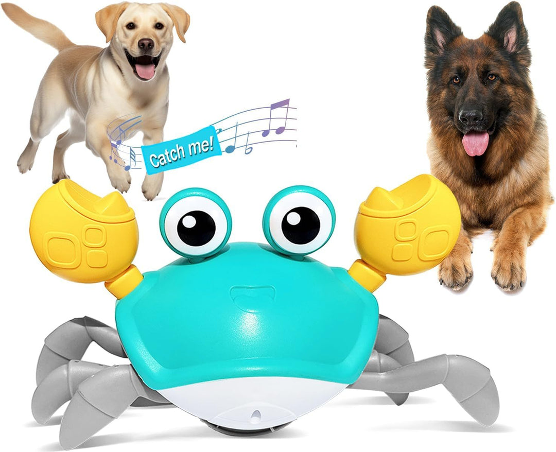 Toy crab with dogs on a white background