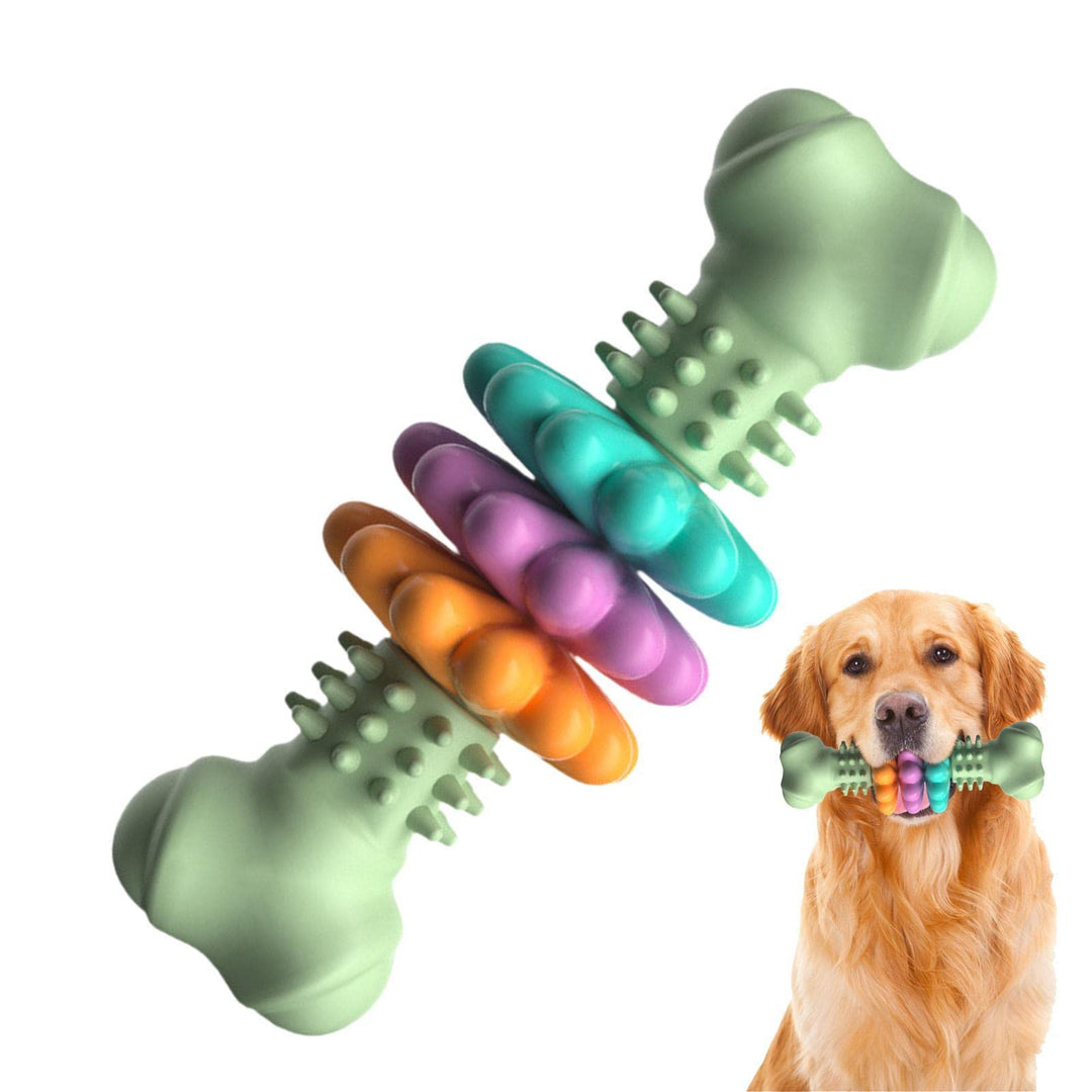 Colorful dog toys with a dog holding one of them on a white background