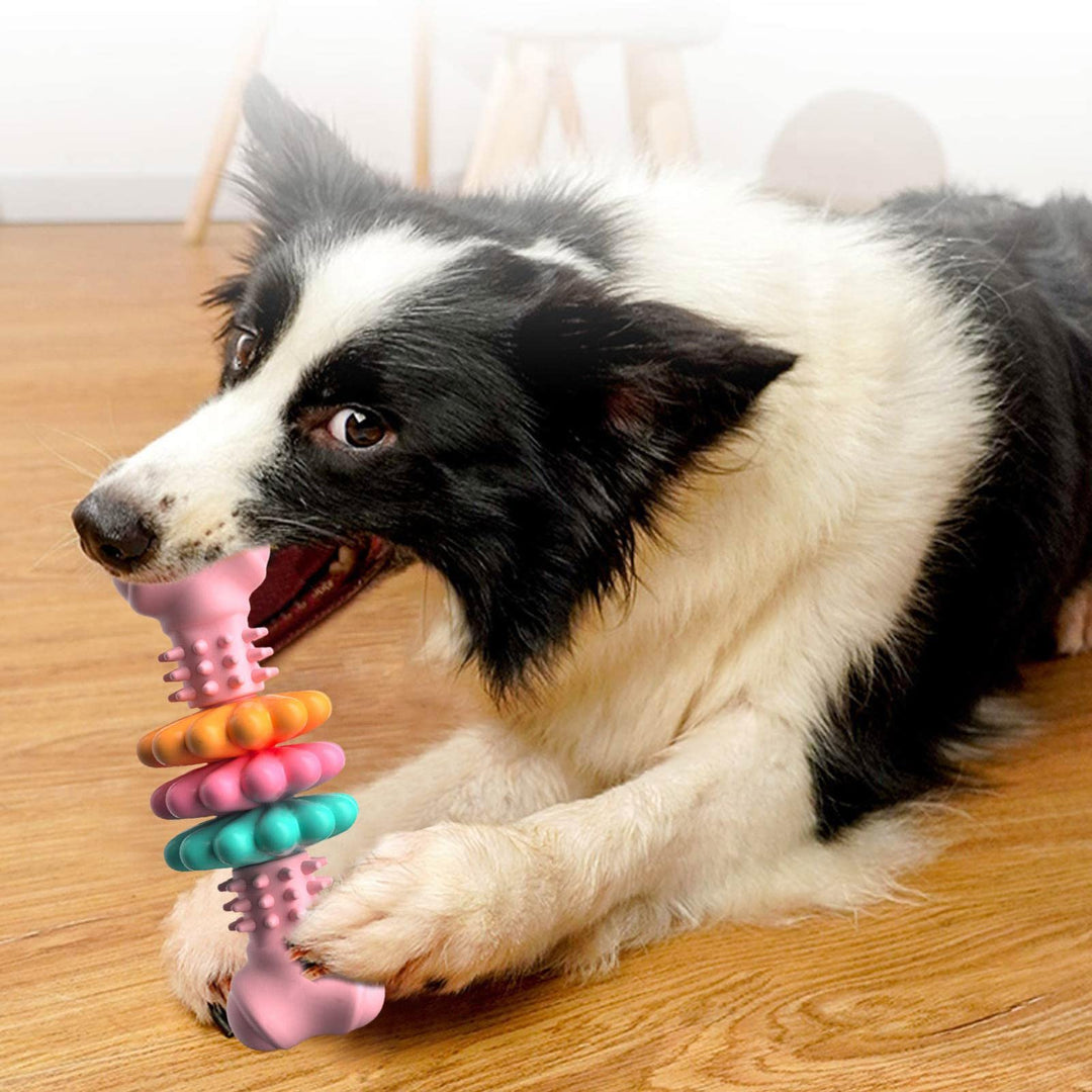 Dog playing with a colorful chew toy on a wooden floor.