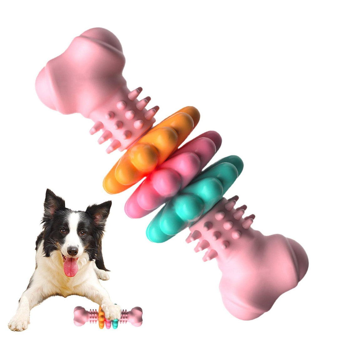 Colorful dog toys with a dog lying next to them on a white background