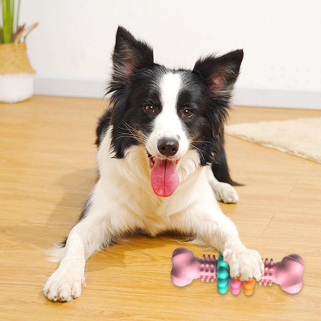 Dog lying on a wooden floor with a colorful bone-shaped toy