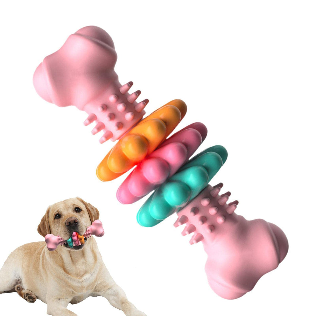Dog playing with colorful rubber toys on a white background
