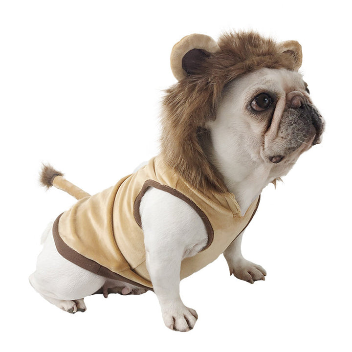 Dog wearing a lion costume with a mane on a white background