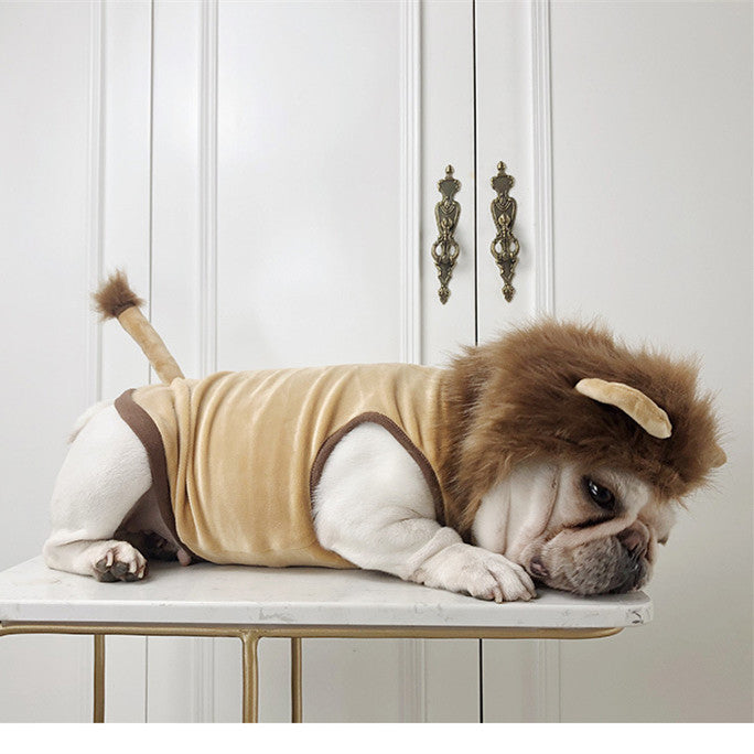 Dog wearing a lion costume on a marble surface with a white paneled wall background