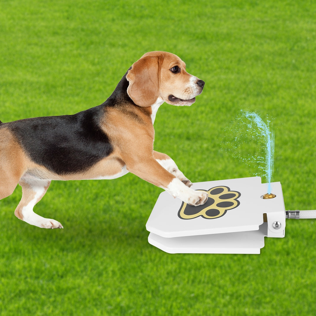 Dog playing with Dog Water Fountain Outdoor Step-On Pet Water Dispenser with Paw Pedal on a grassy field