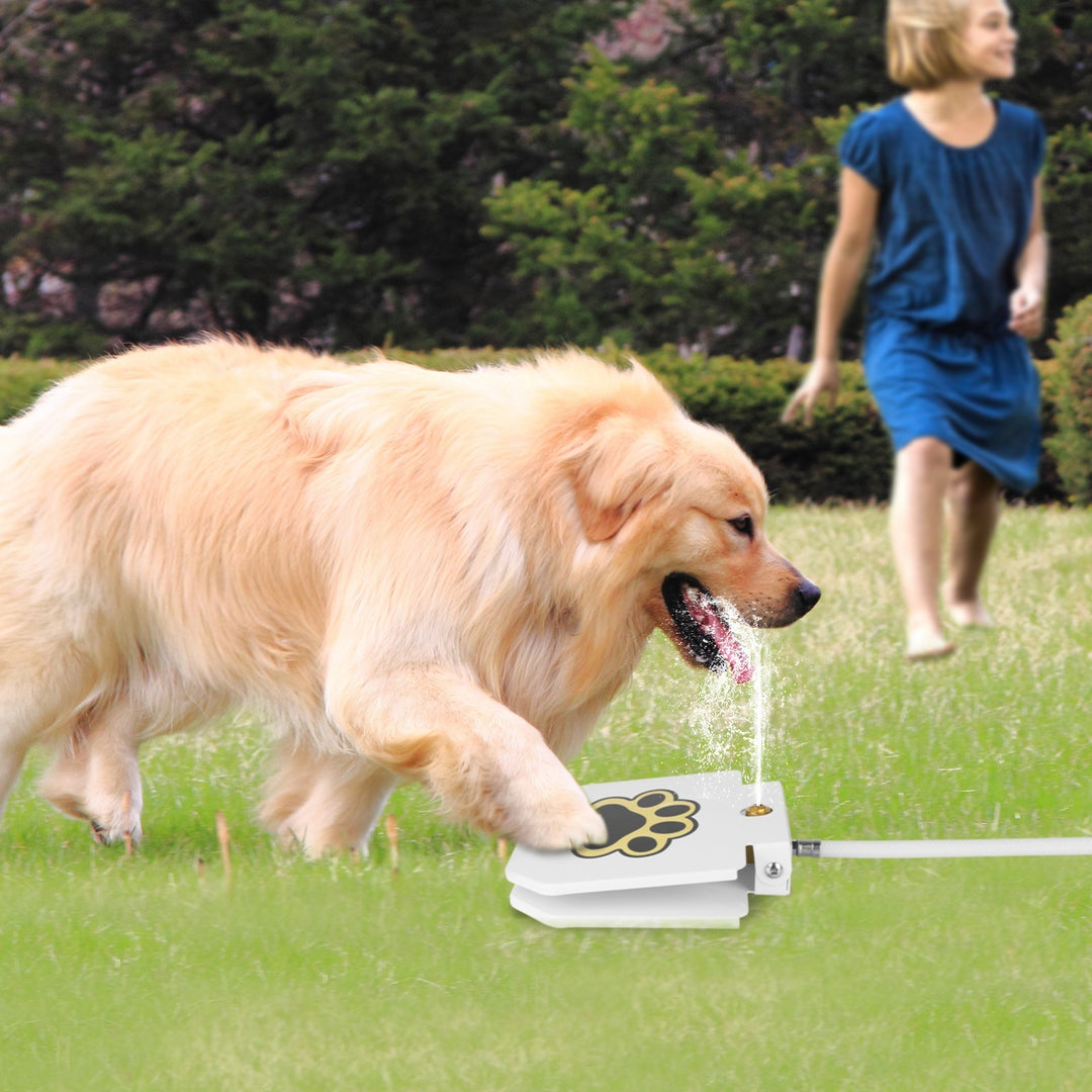Dog playing with Dog Water Fountain Outdoor Step-On Pet Water Dispenser with Paw Pedal in a grassy area.