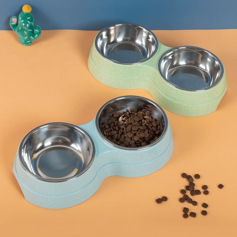 Pet food bowls with a cactus decoration on a colorful background