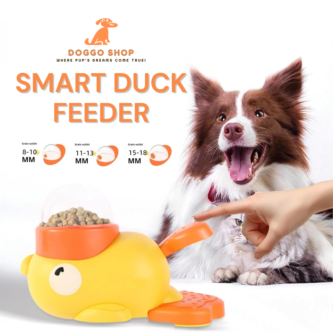 Smart duck feeder for pets with a dog and a hand pointing at it, branded as Doggo Shop.