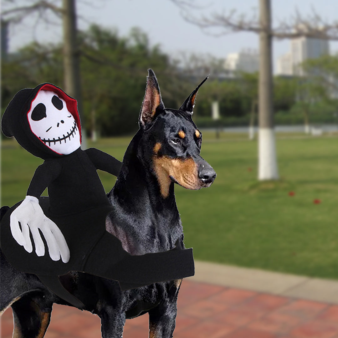 Dog wearing a skeleton costume with a hood and mask outdoors.