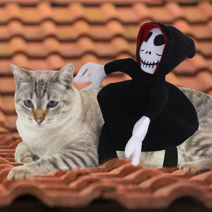 Cat sitting on a tiled roof with a plush toy in a black hooded outfit with a skull mask.