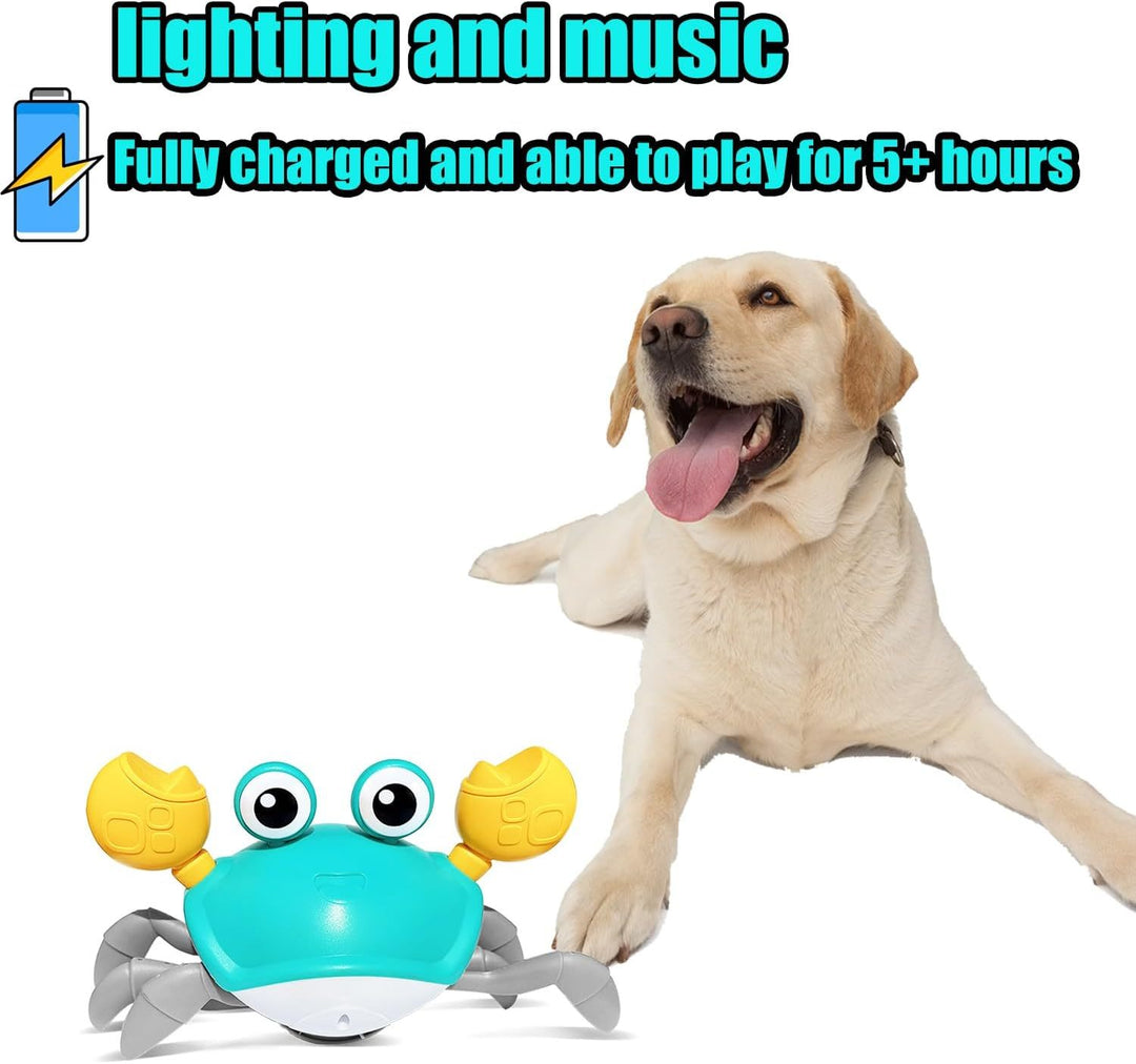 Dog playing with a crab-shaped toy with text about charging and playtime on a white background