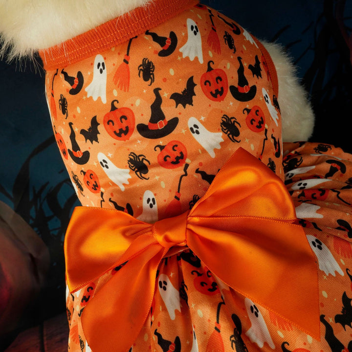 Halloween-themed dog coat with pumpkins, ghosts, and cats on an orange background.