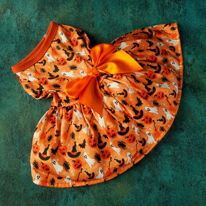 Halloween-themed pet dress with orange bow on a textured green background