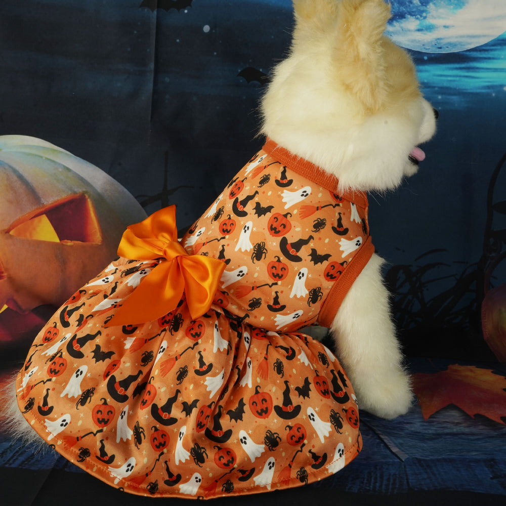 Dog wearing a Halloween-themed dress with pumpkins, ghosts, and cats, sitting next to a pumpkin.
