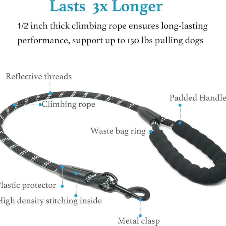 Dog leash with features highlighted and text about its durability and capacity.