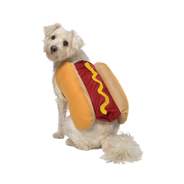 Dog wearing a hot dog costume on a white background