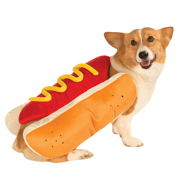 Dog wearing a hot dog costume with mustard on a white background