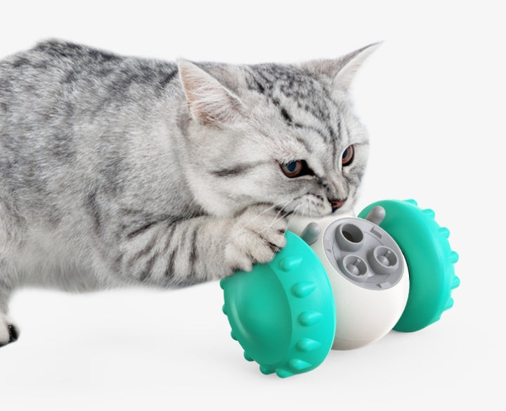 Cat playing with a teal and gray toy on a white background