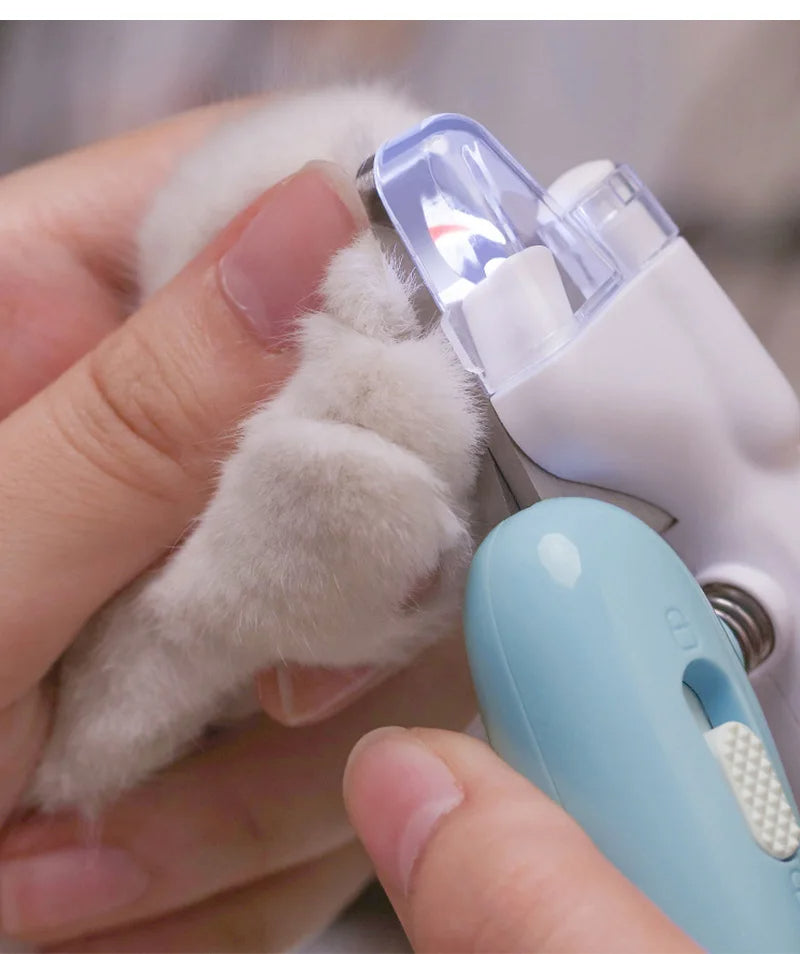 Pet nail trimmer being used on a cat's paw with a blurred background