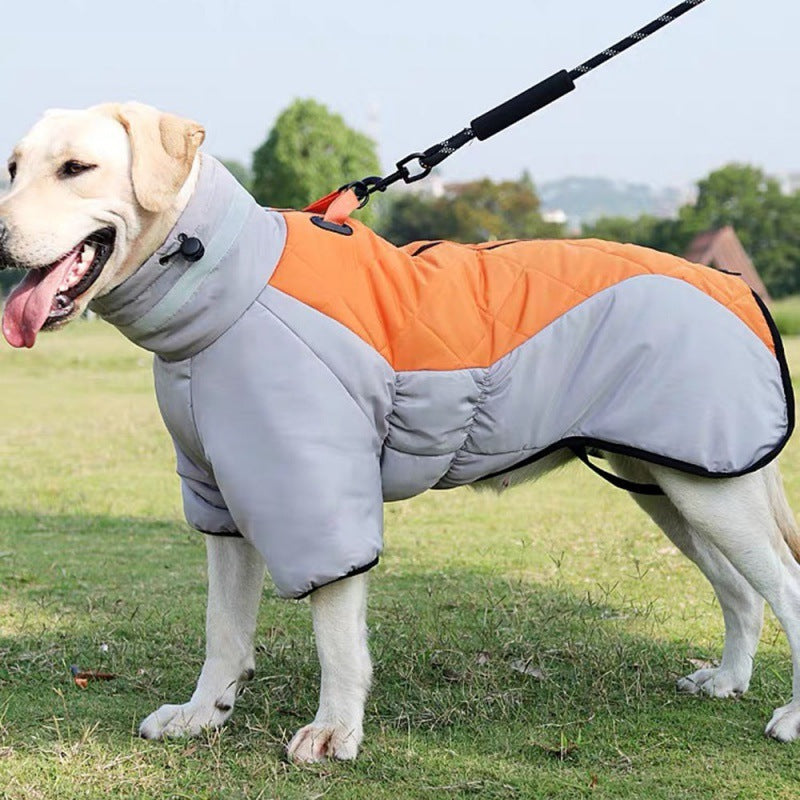 Dog wearing an orange and gray coat standing on grass