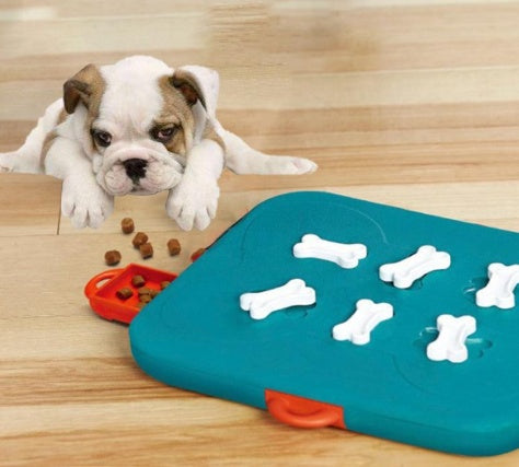 Puppy with a teal puzzle toy on a wooden floor