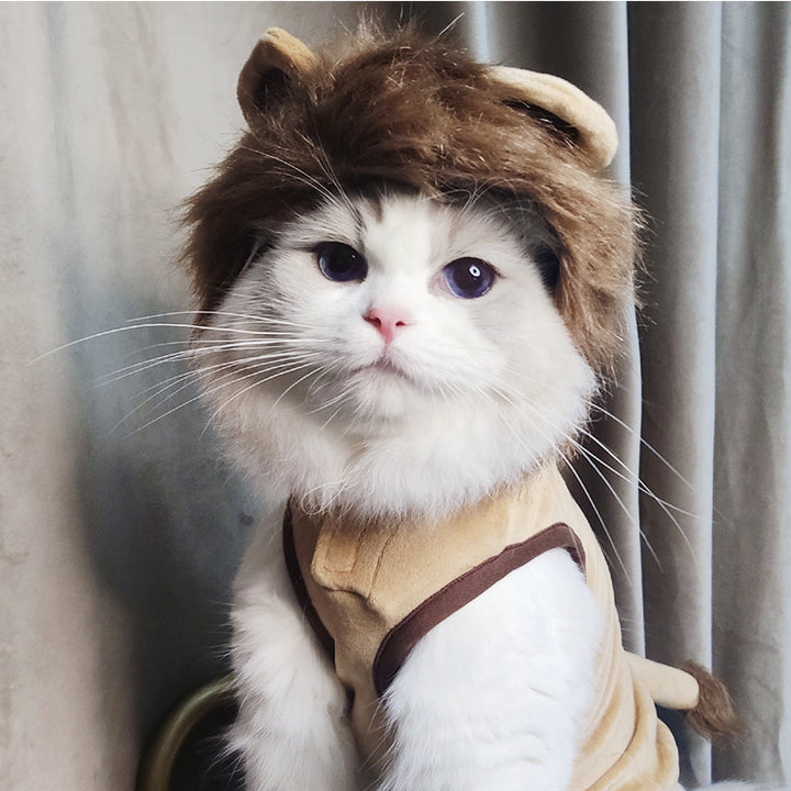Cat wearing a lion costume with ears and a scarf, standing against a neutral background