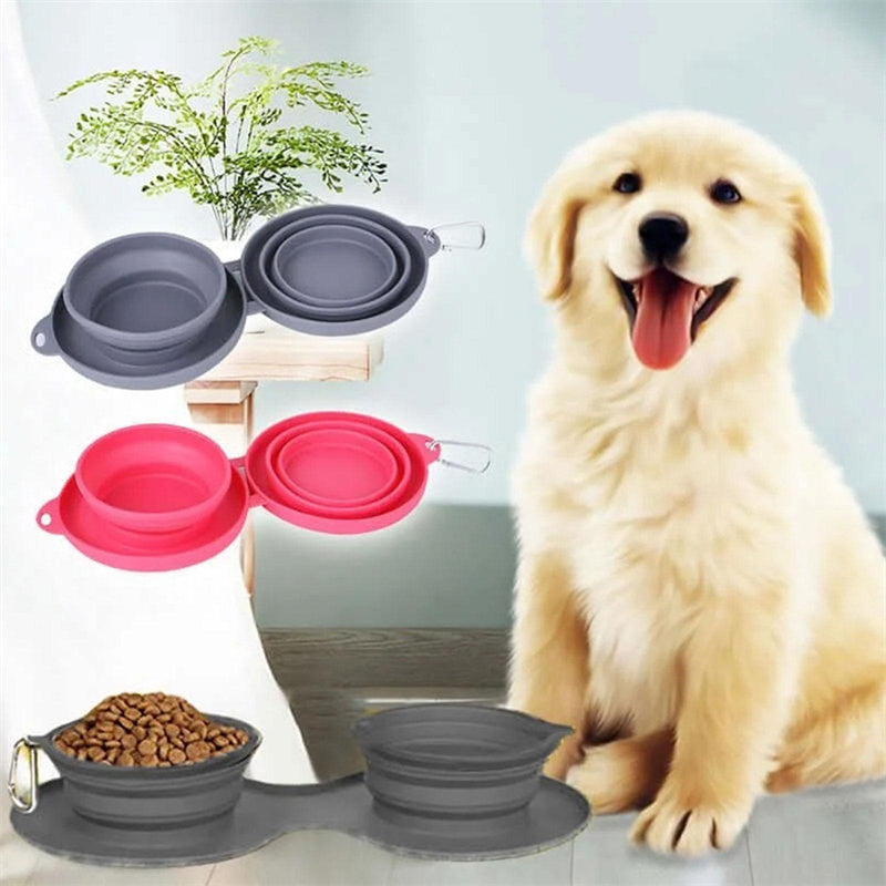 Collapsible pet bowls in gray and pink with a dog sitting next to them.